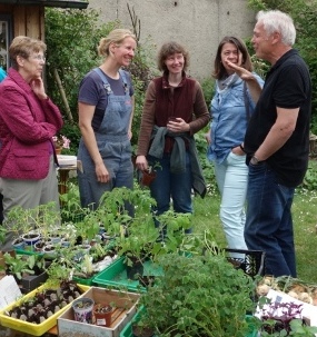 Foto: Pflanzenmarkt